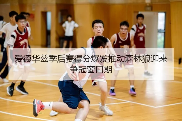 爱德华兹季后赛得分爆发推动森林狼迎来争冠窗口期