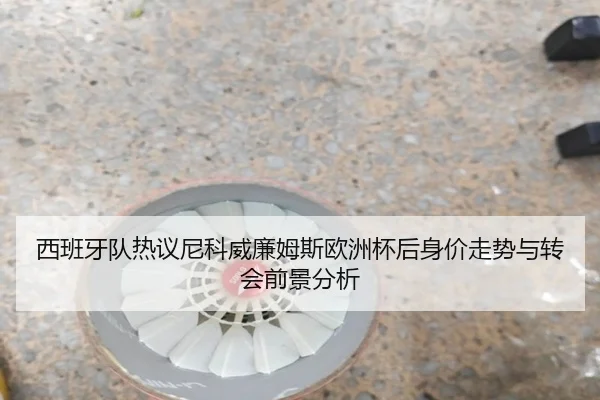 西班牙队热议尼科威廉姆斯欧洲杯后身价走势与转会前景分析