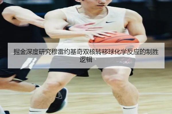 掘金深度研究穆雷约基奇双核转移球化学反应的制胜逻辑